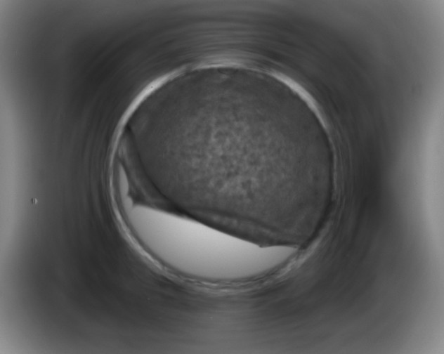 X0000085300949200703301957