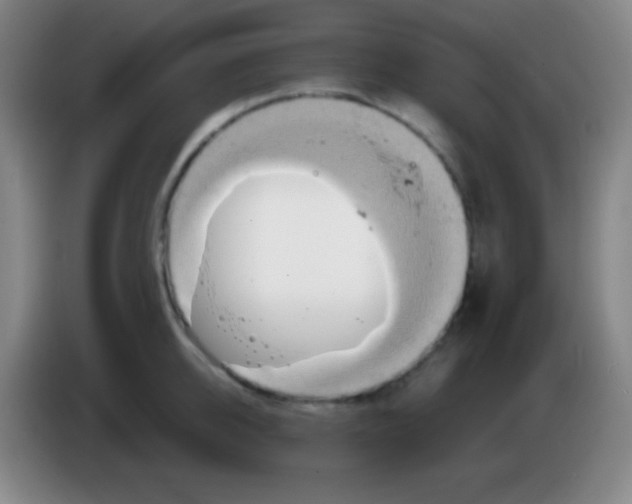 X0000085300950200703301957