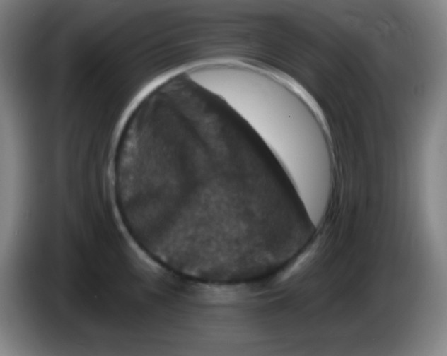 X0000085300951200703301957