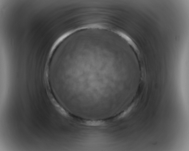 X0000085300952200703301957