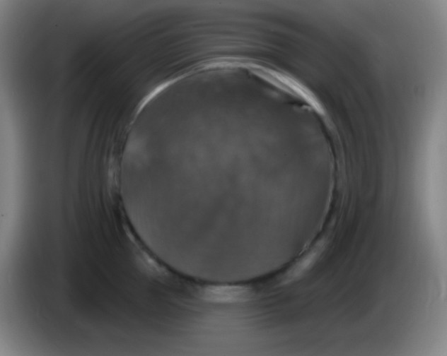 X0000085300953200703301957