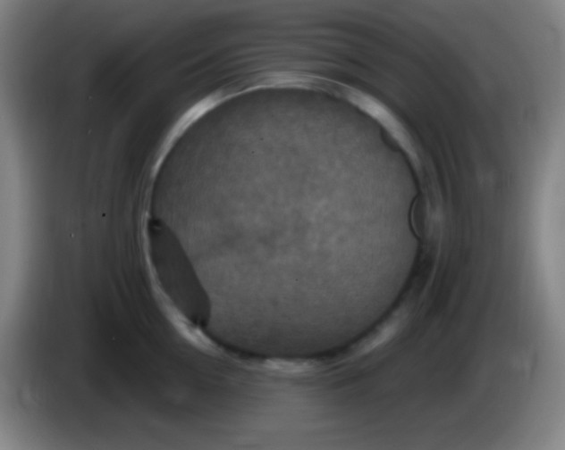 X0000085300954200703301957
