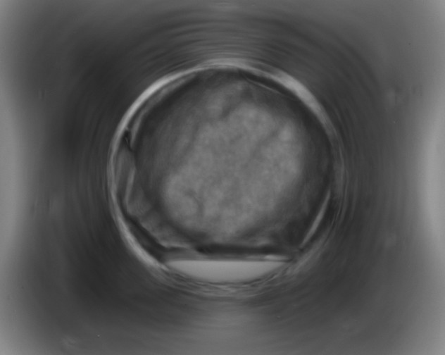 X0000085300955200703301957