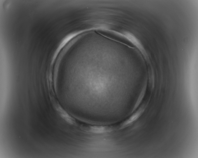 X0000085300956200703301957