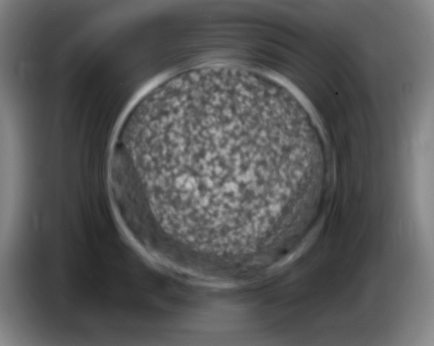X0000085300957200703301957
