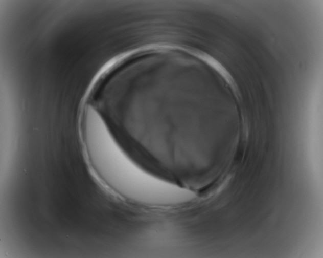 X0000085300958200703301957