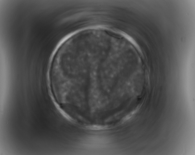 X0000085300959200703301957