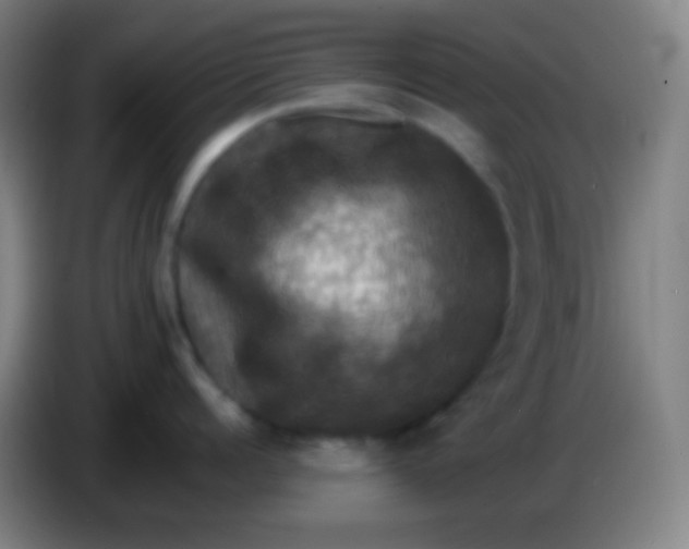 X0000085300960200703301957