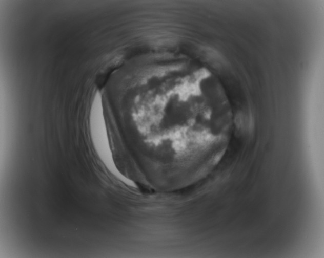 X0000085300963200703301956