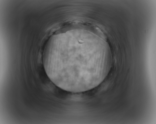 X0000085300964200703301956