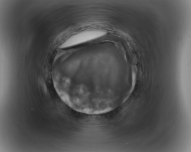 X0000085300966200703301956
