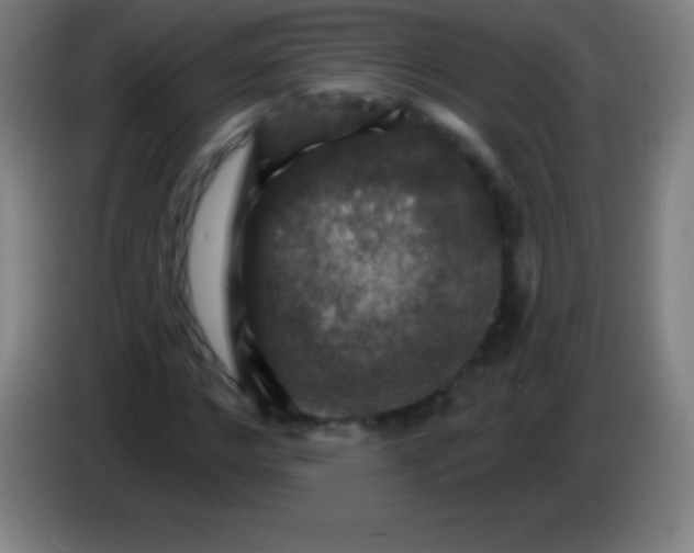 X0000085300968200703301956