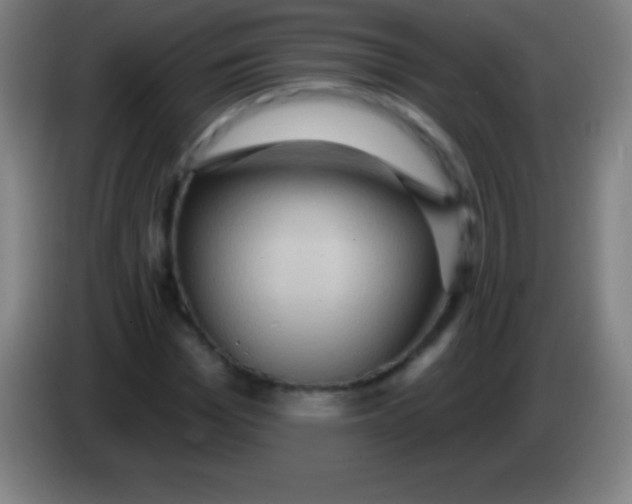 X0000085300969200703301956