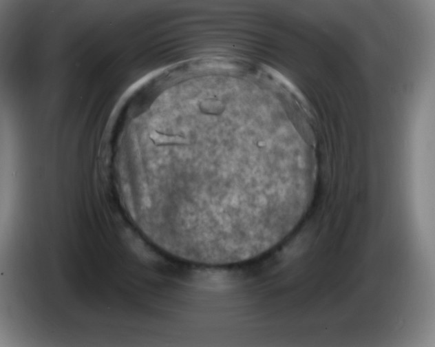 X0000085300971200703301956