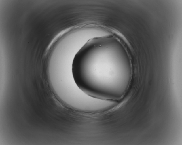 X0000085300973200703301956