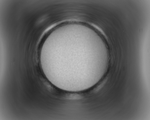 X0000085300974200703301956