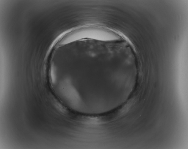 X0000085300975200703301956