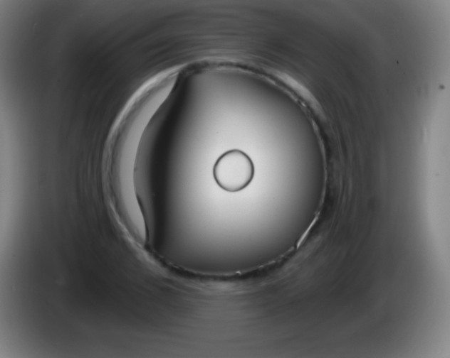 X0000085300976200703301956