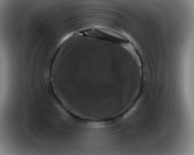 X0000085300977200703301956