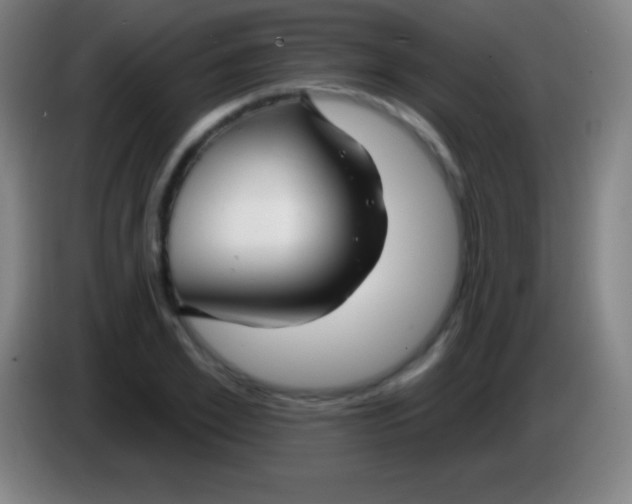 X0000085300981200703301956
