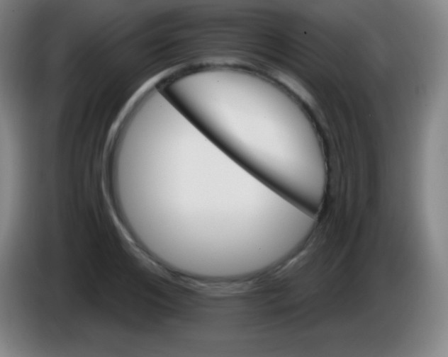 X0000085300984200703301956