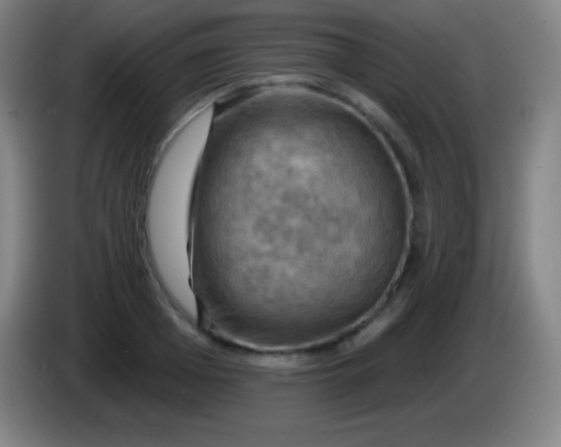 X0000085300985200703301956