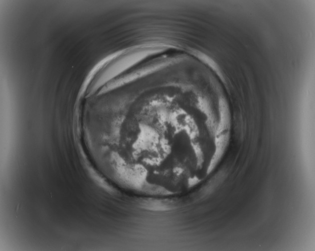 X0000085300987200703301956