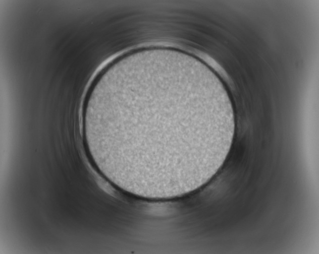 X0000085300988200703301956