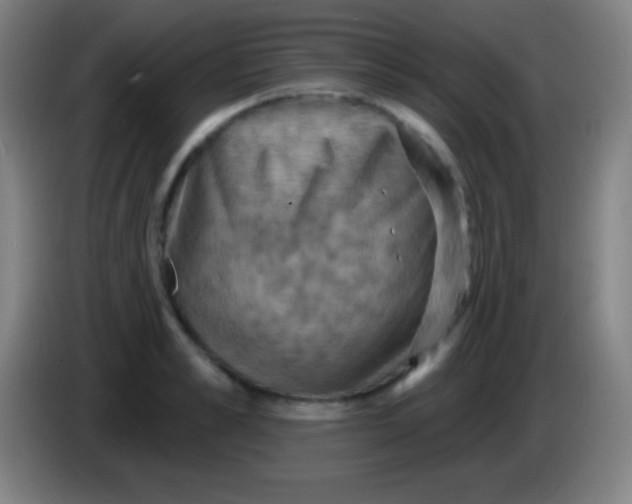 X0000085300989200703301956
