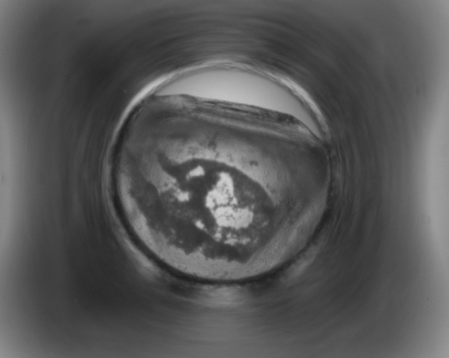 X0000085300991200703301956