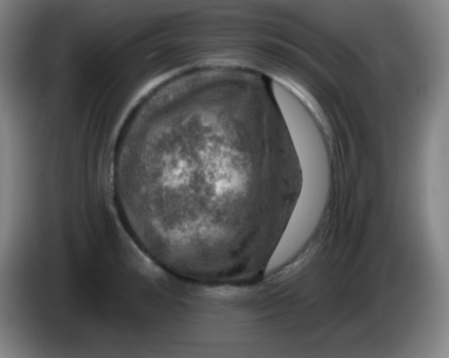 X0000085300992200703301956