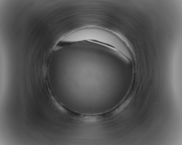 X0000085300993200703301956