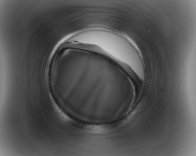 X0000085300995200703301956