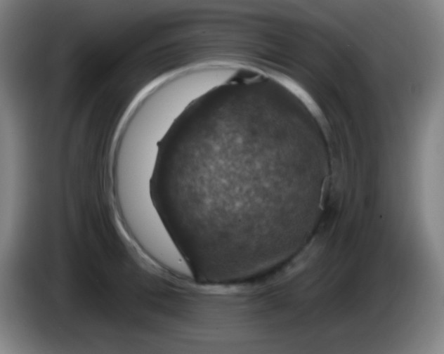 X0000085300996200703301956