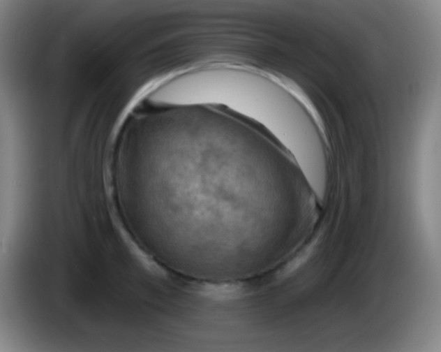 X0000085300997200703301956