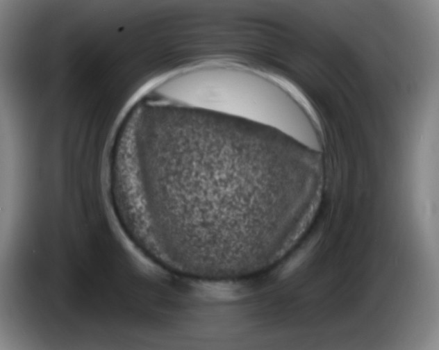 X0000085300999200703301956