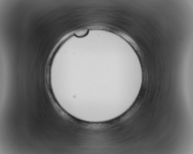 X0000085301000200703301956