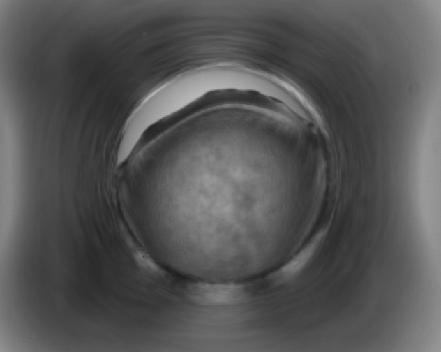 X0000085301001200703301956