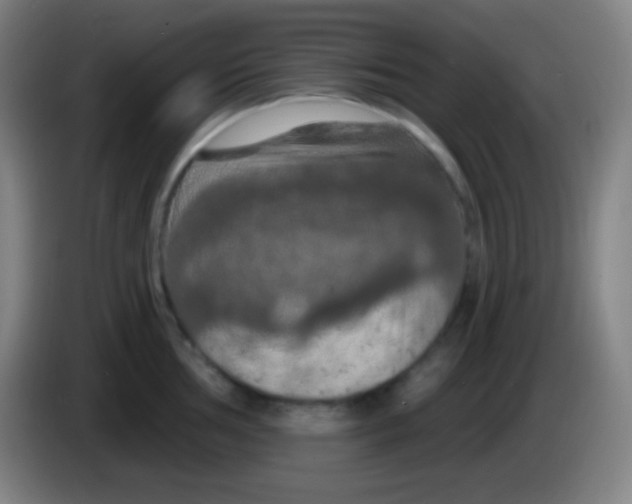 X0000085301002200703301956