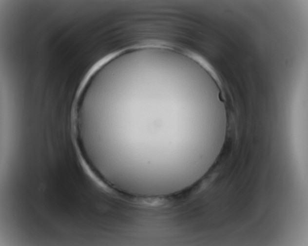 X0000085301003200703301956