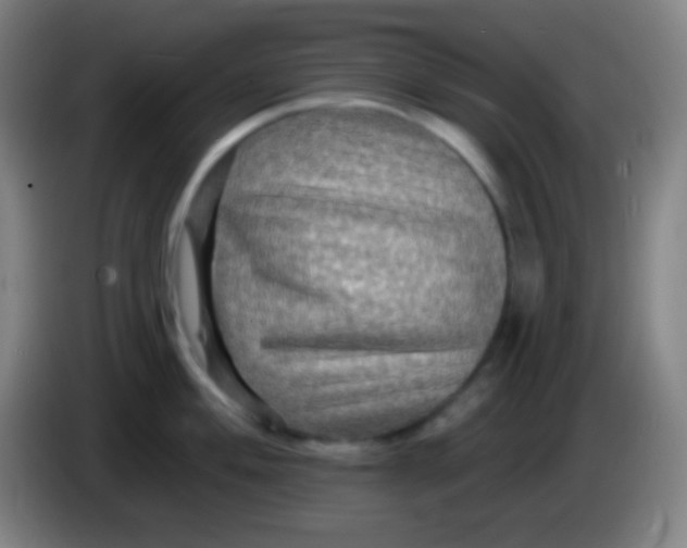 X0000085301004200703301956