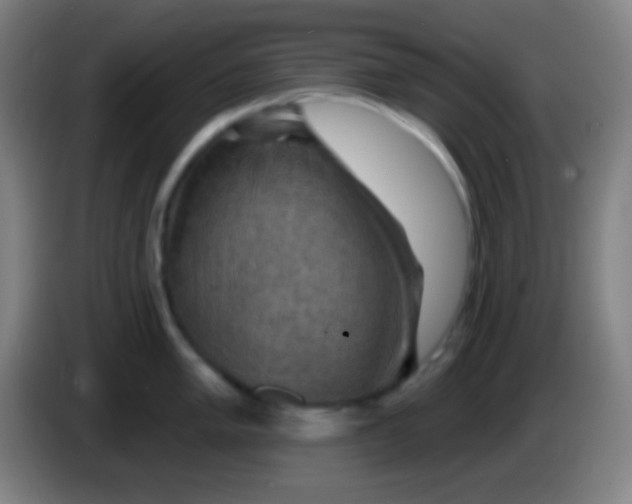 X0000085301005200703301956