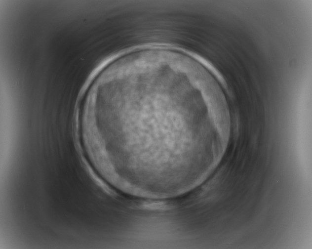 X0000085301006200703301956