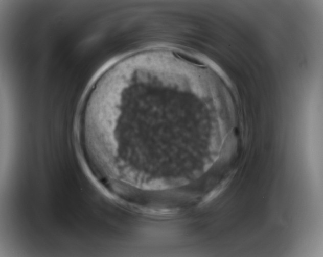 X0000085301007200703301956