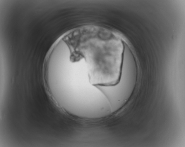 X0000085301008200703301956