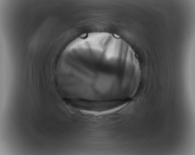 X0000085301009200703301955