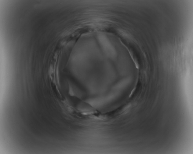 X0000085301010200703301955