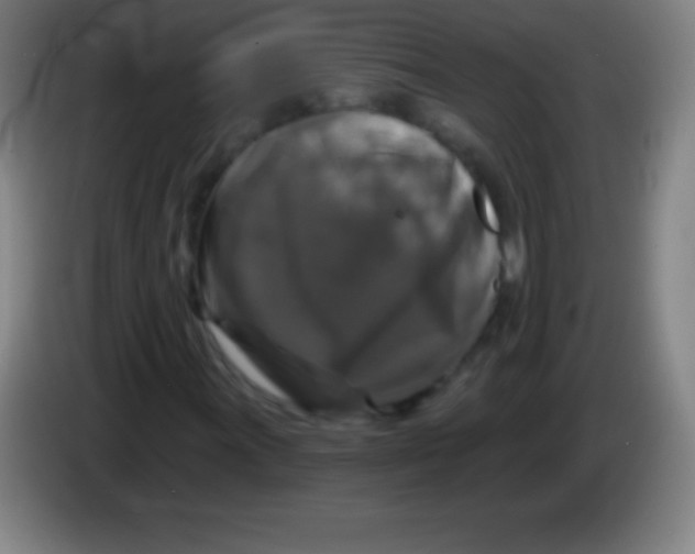 X0000085301011200703301955