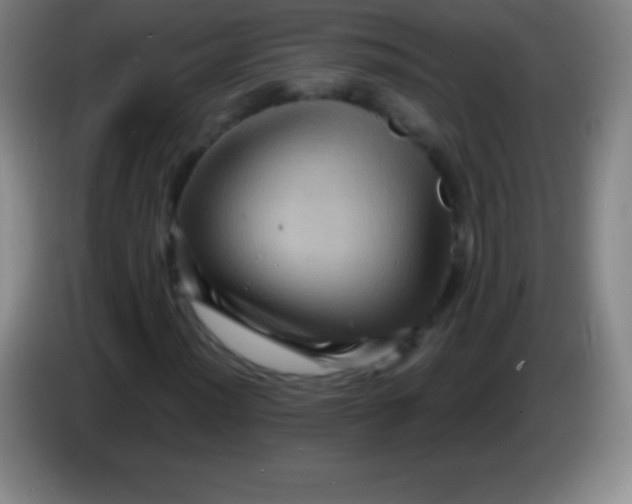 X0000085301012200703301955