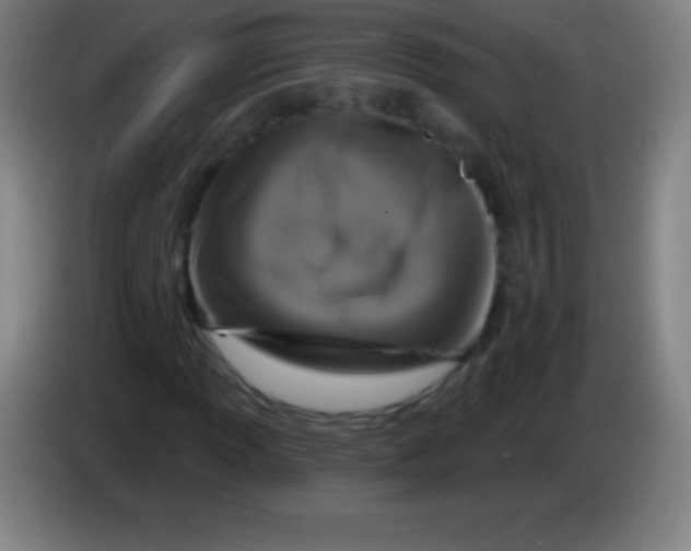 X0000085301013200703301955